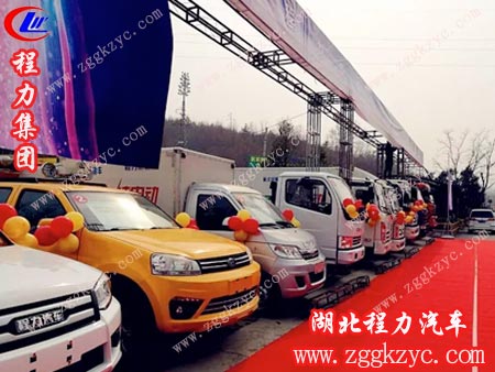 力整車、商用車體系中的皮卡系列、商用車輕卡、中卡、重卡系列均已成功推向市場 力整車、商用車體系中的皮卡系列、商用車輕卡、中卡、重卡系列均已成功推向市場